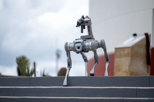 ''Perro robot'', equipado con arma larga 05e47b90 de42 4f7f af95 e1a4350db001