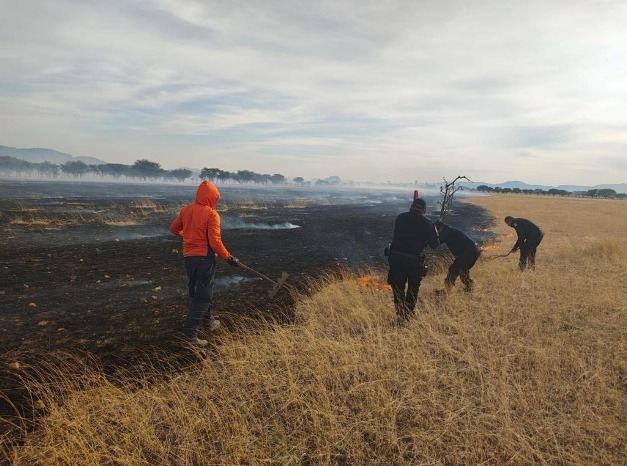 Uno de los incendios WhatsApp Image 2026 04 15 at 16.33.32