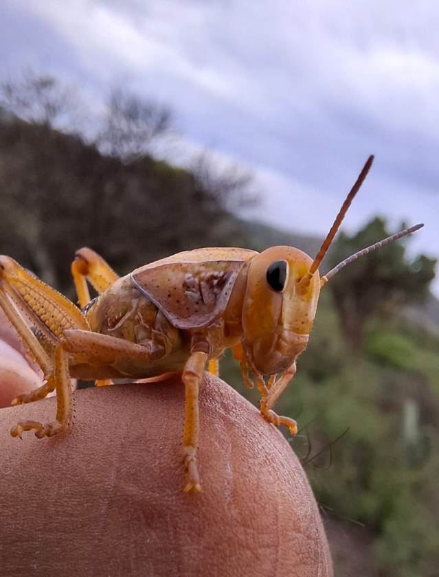 Contingencia WhatsApp Image 2025 08 07 at 7.06.26 PM 1