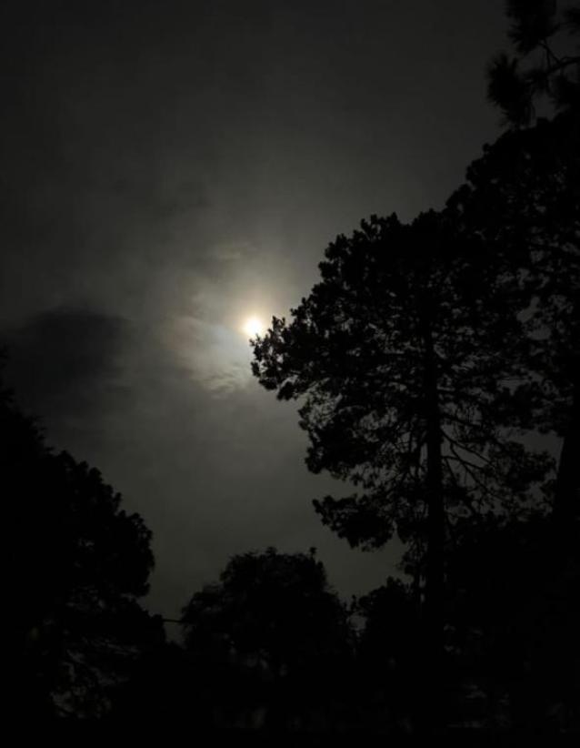 Foto de archivo WhatsApp Image 2025 09 06 at 9.03.15 PM copy