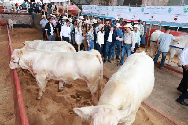 WhatsApp Image 2025 09 12 at 3.40.46 PM