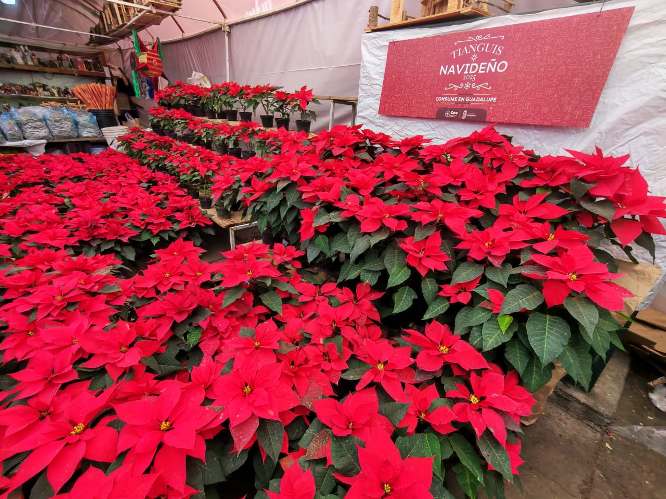 WhatsApp Image 2025 12 18 at 1.32.33 PM