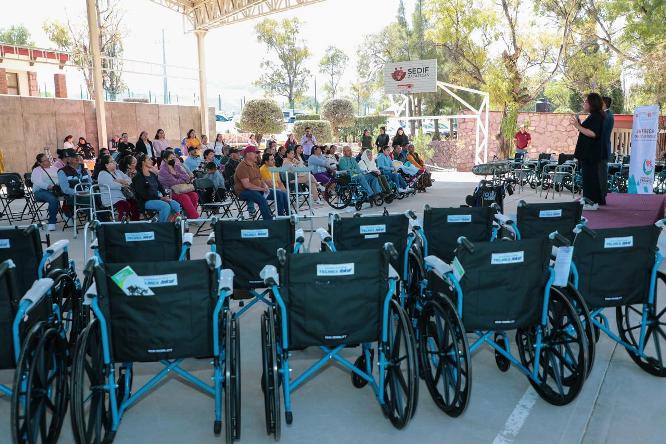 WhatsApp Image 2026 03 04 at 1.24.57 PM