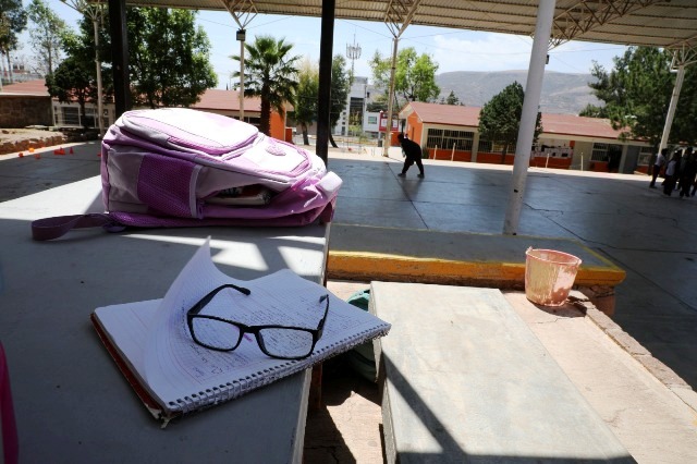 Un merecido descanso WhatsApp Image 2026 03 26 at 12.29.54 PM