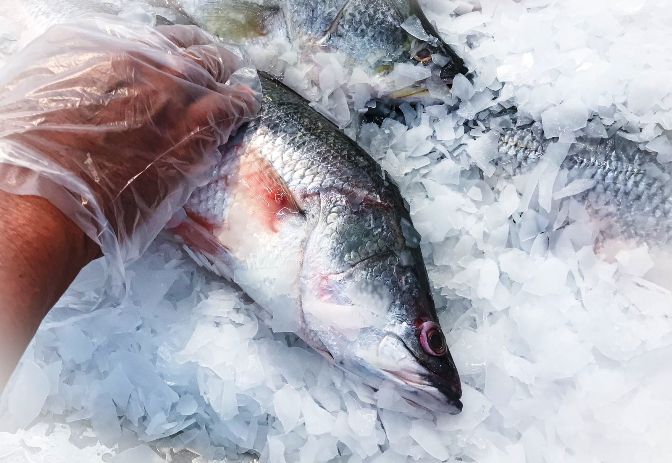 Programa de consumo seguro WhatsApp Image 2026 03 30 at 1.05.26 PM 1