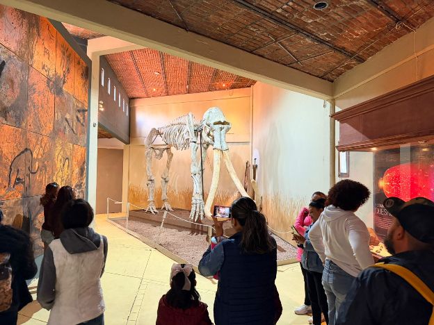 WhatsApp Image 2026 04 02 at 10.34.21 AM