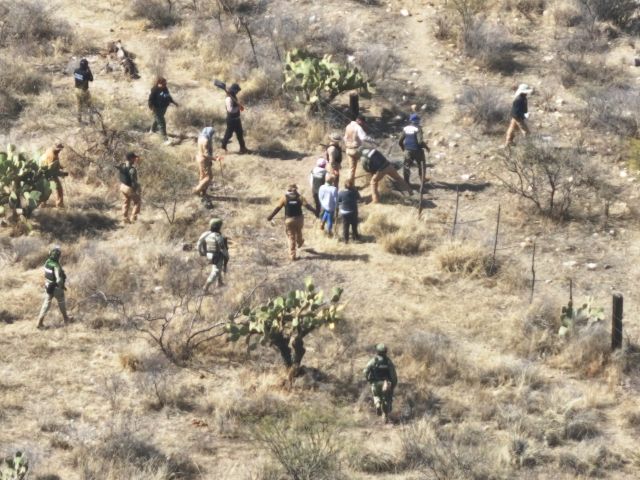 Buscadores peinaron los predios designados buscadores copy copy copy