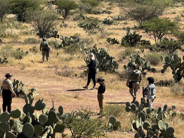 Las brigadas especializadas en acción busq de campo