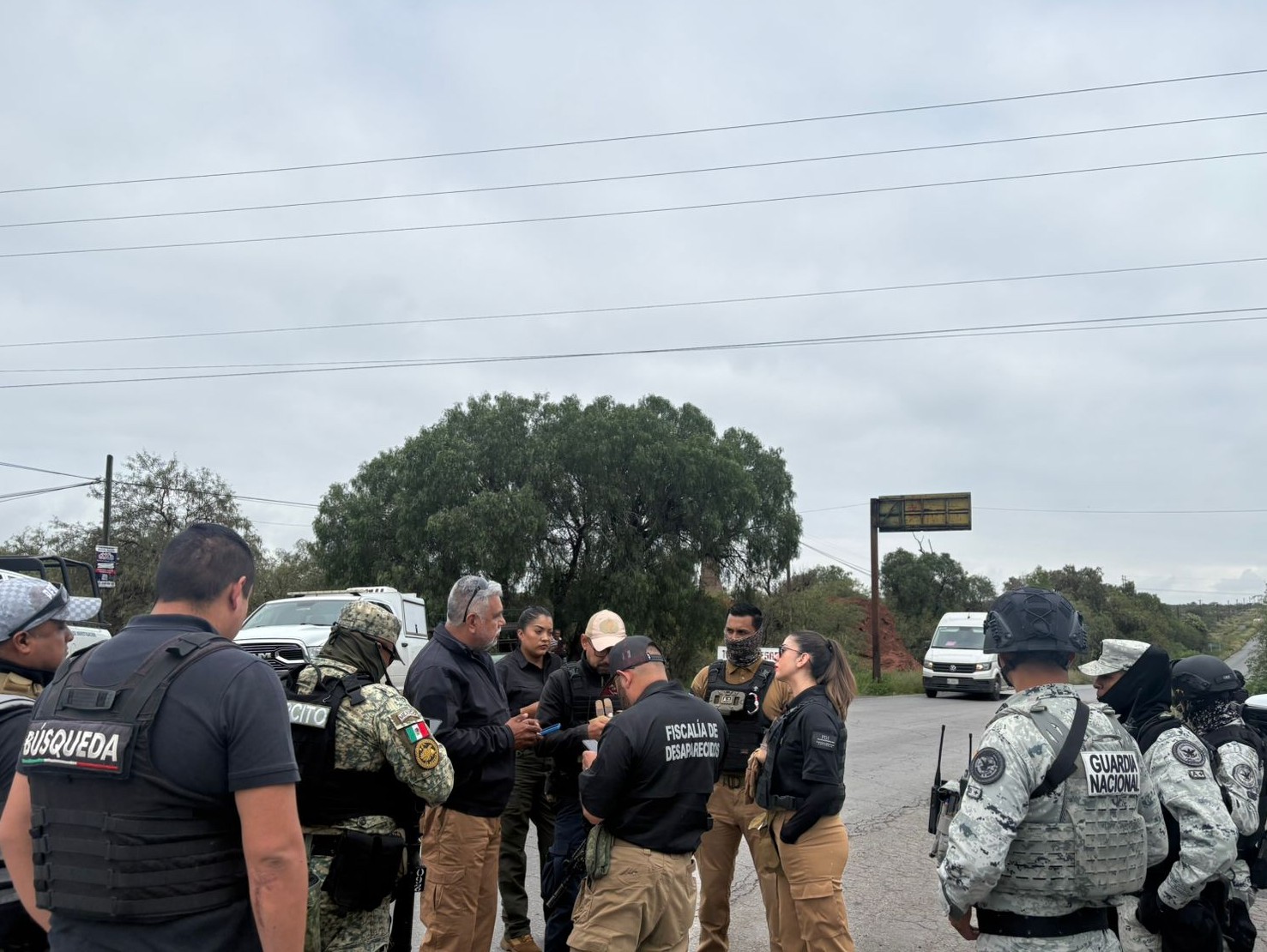 Coordinación para la búsqueda de desaparecidos busqueda de personas