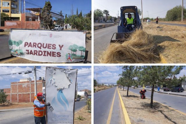Fotos cortesía Parques y Jardines Guadalupe camellones limia