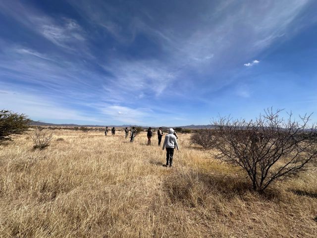 Hoy se efectuaron búsquedas forenses en Fresnillo, se informó desollacion