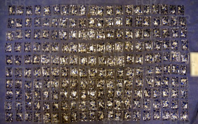 Foto de parte de los enervantes asegurados dosis de narcotico