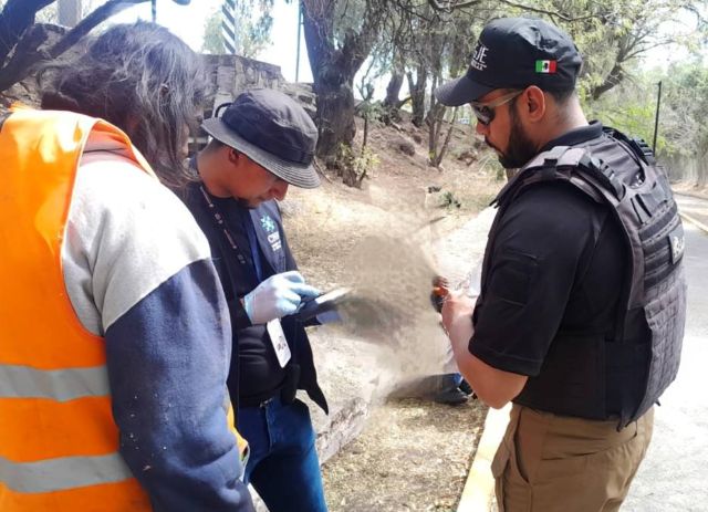 Entrevistas en parques