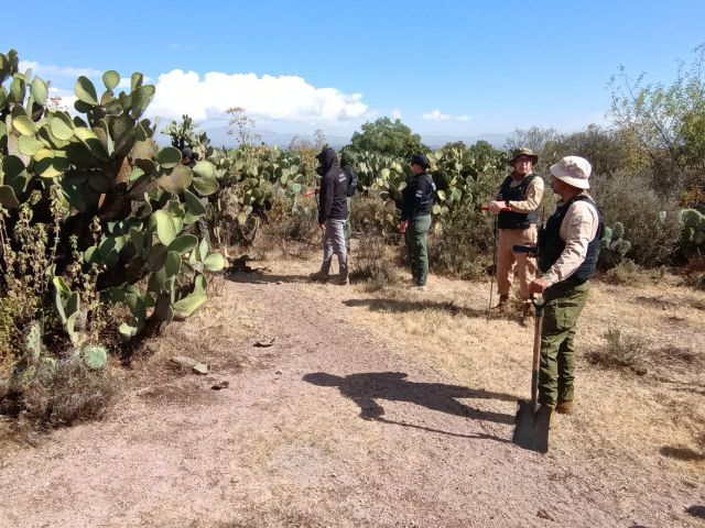 Búsqueda de tipo forense en Pinos forense pinos
