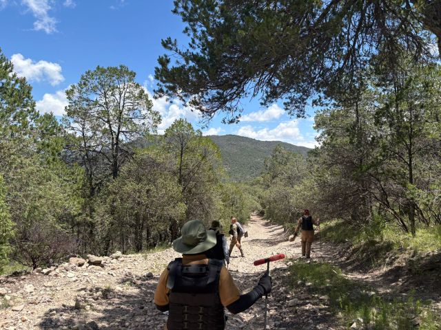 Imágenes de la búsqueda en Jerez (fotos cortesía) jerez 2