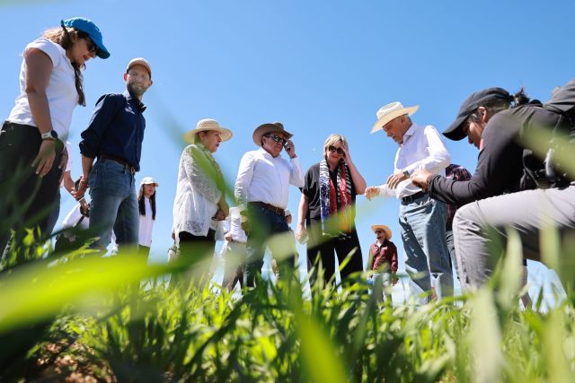Supervisan sobre el cuidado del agua, la recarga de acuíferos y la agricultura de conservación, entre otros las parcelas