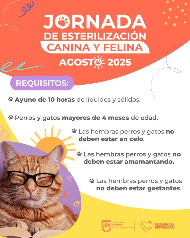 Aquí los requisitos para las personas interesadas en el servicio losrequisitos