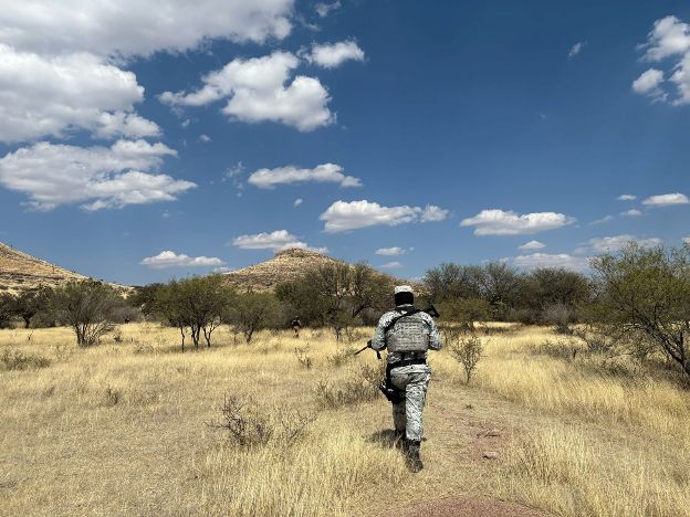 Foto de archivo miradf