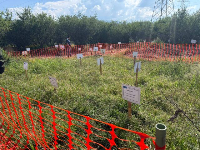 Fotos cortesía de la FGJEZ queses