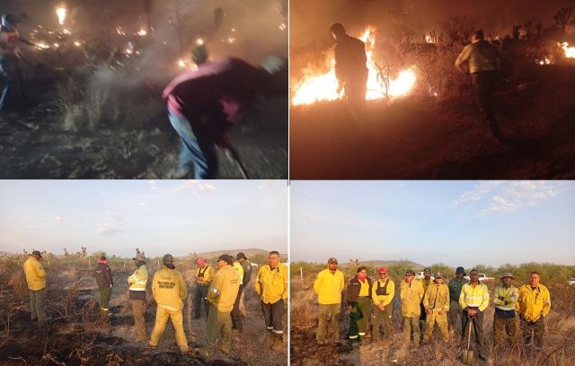 Luego de dos días, lograron apagar el incendio forestal en Efigenia siniestro Efigenia