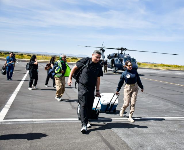 No se especificó cuántos órganos y cuáles trasladodeorganos