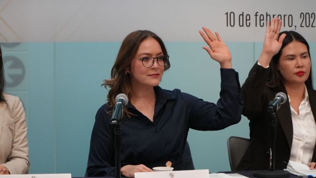 La senadora de Morena Verónica Díaz en la sesión de la comisión mencionada veronica diazrobles