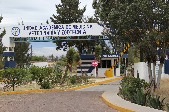 Excelencia académica 4e64247b 0f4e 47ab a2ea 3b56ecca0d59