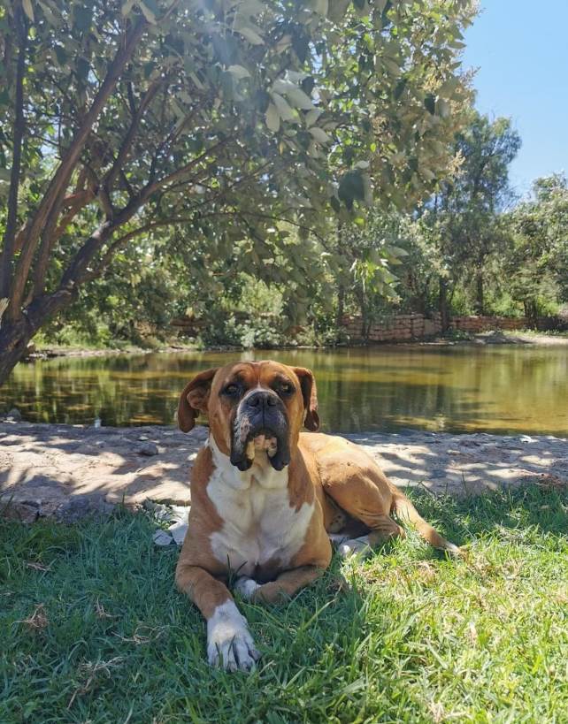 Requieren de cuidados 9e160755 b6e1 4512 9ec5 8f1a529c6a29