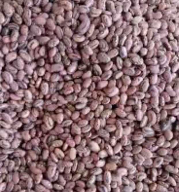 Imagen de archivo 472573631 1008883191265099 892723482268934108 n