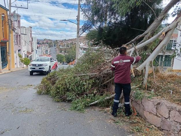 Ventarrones WhatsApp Image 2025 01 10 at 2.25.04 PM