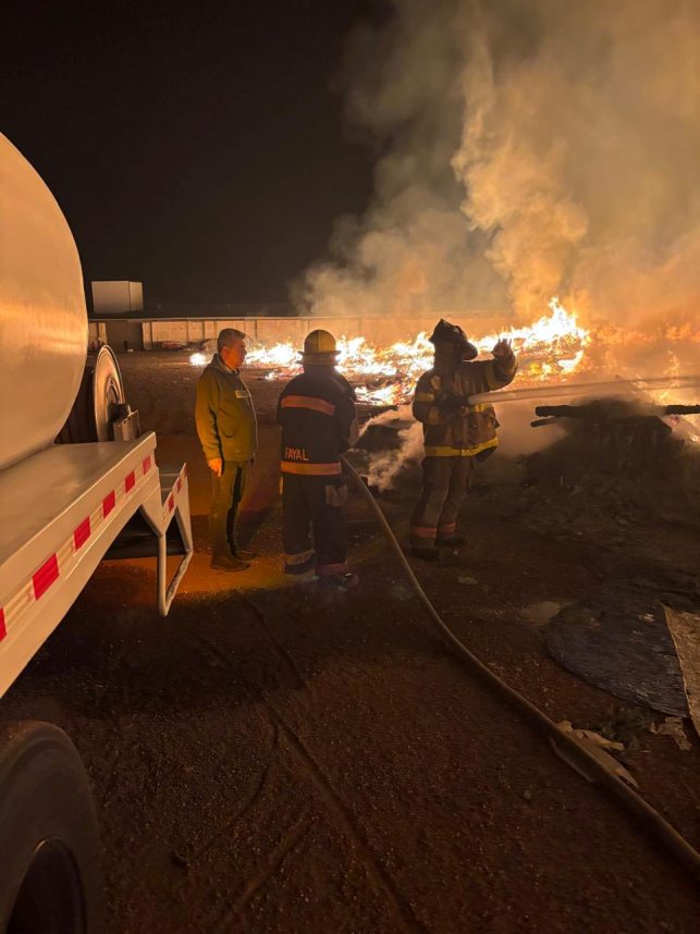 504396602 1224394725727242 902246843717024712 n