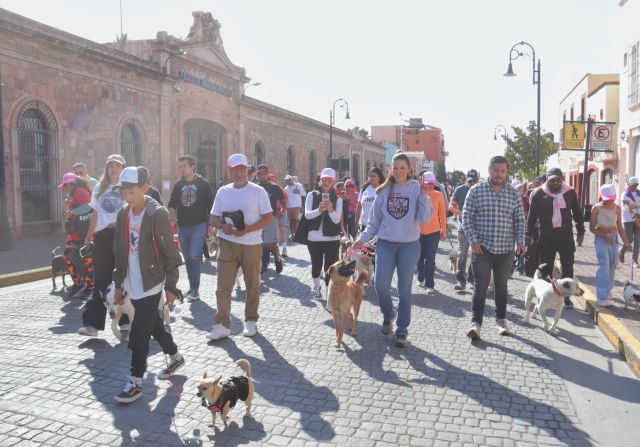 Buena participación en la actividad deportiva y de esparcimiento TEJIDO 10