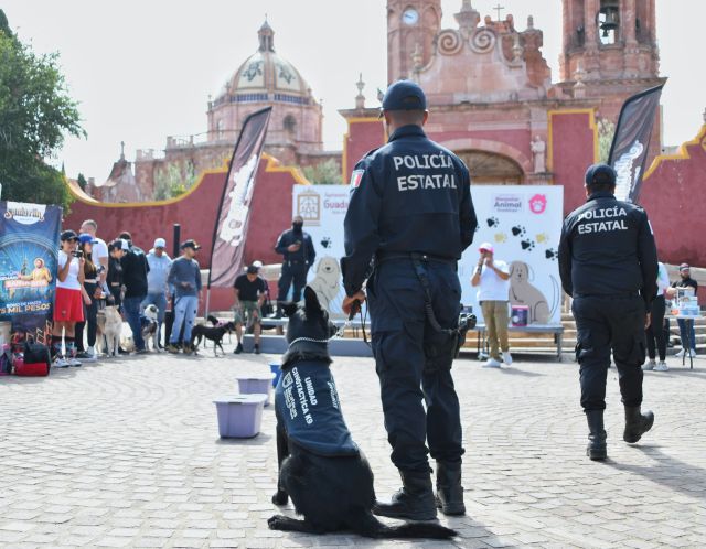 Fotos cortesía TEJIDO 8