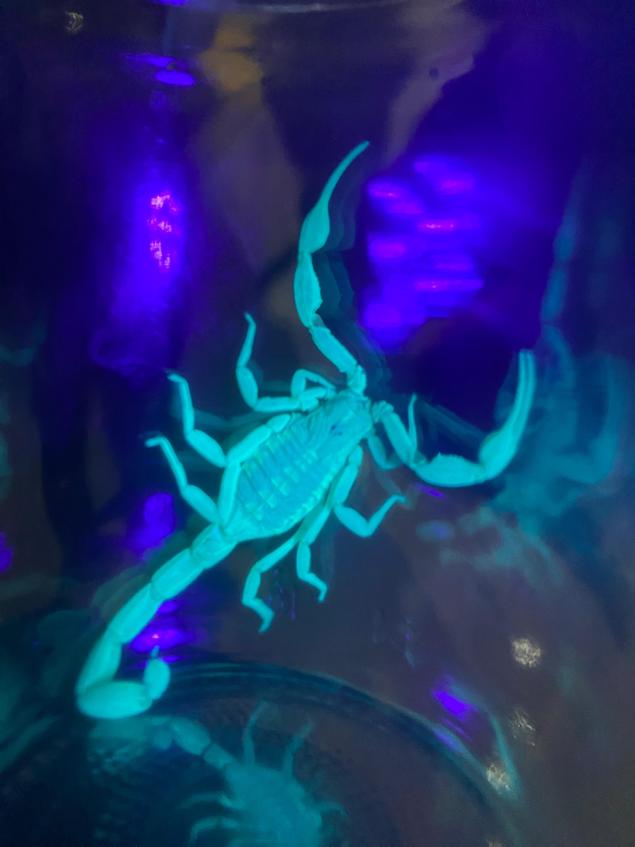 Fotos: Yalia Chávez TER