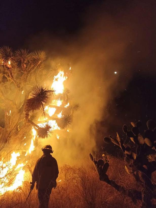 Uno de los siniestros WhatsApp Image 2025 03 18 at 2.46.59 PM