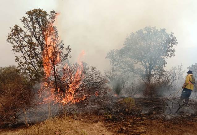 Fotos: PCE WhatsApp Image 2025 04 21 at 2.24.20 PM