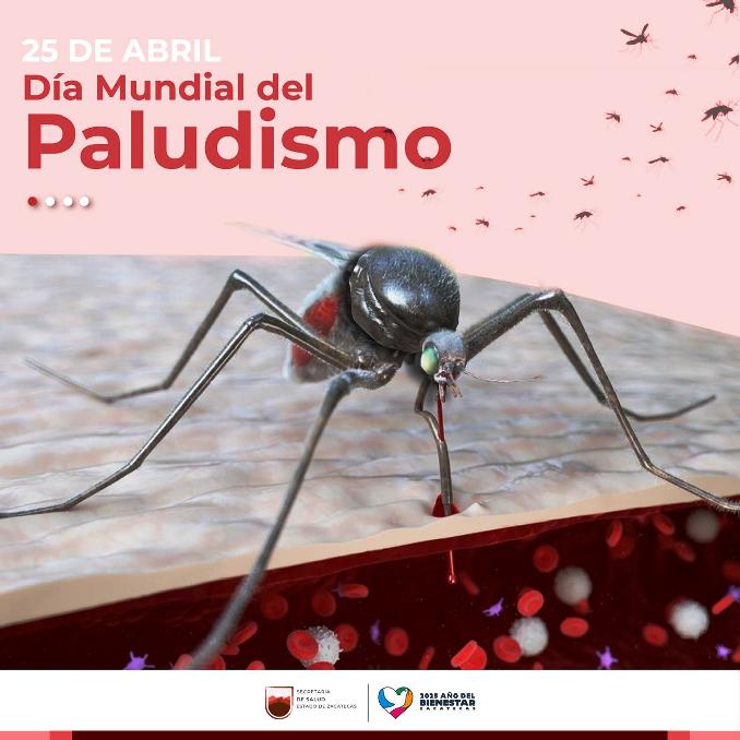 Fotos: cortesía WhatsApp Image 2025 04 25 at 12.40.44 PM