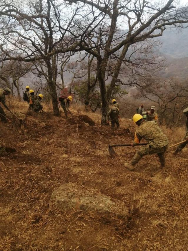 Ardua labor WhatsApp Image 2025 05 17 at 6.55.10 PM