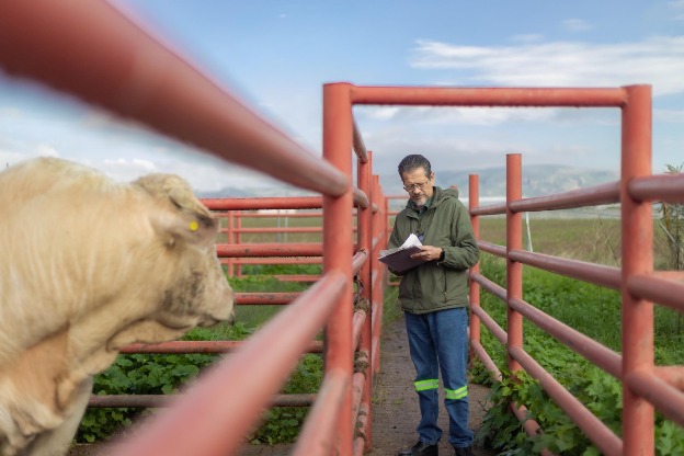 Control sanitario WhatsApp Image 2025 07 23 at 11.39.21 AM 2