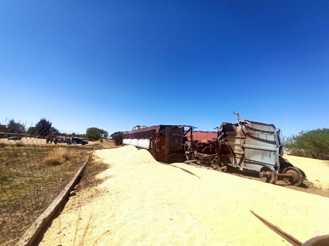 El derrame del grano de los vagones volcados acordonamento fllo