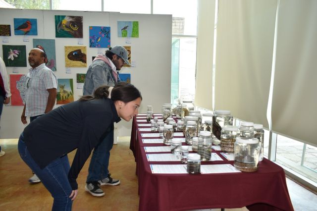 Amplia e interesante colección colecc