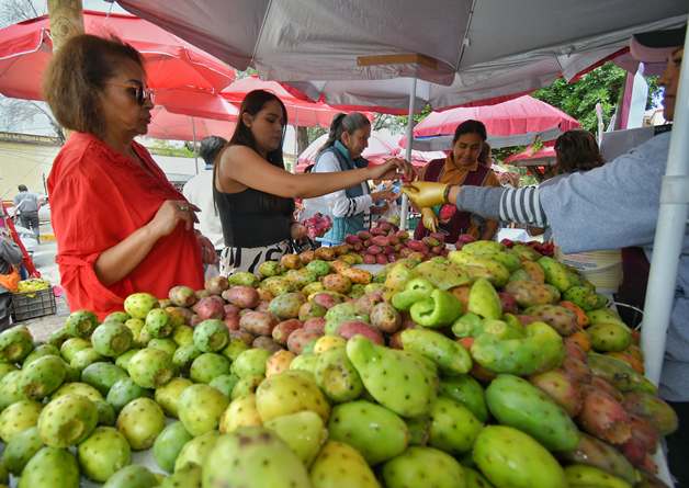 Se ofertaron diferentes variedades festuna 4