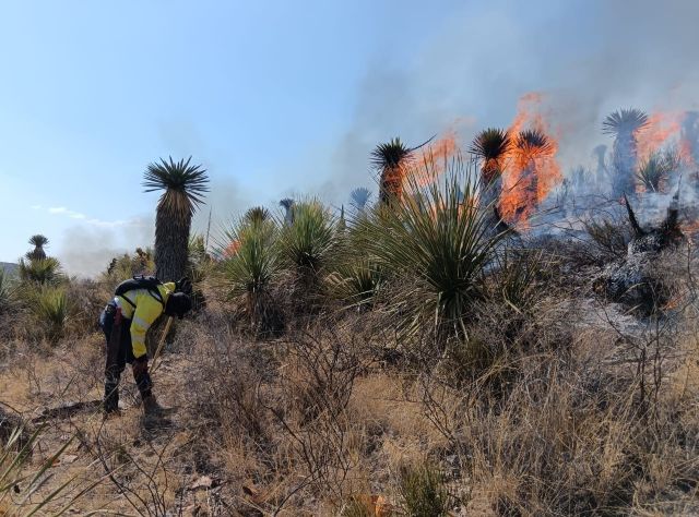 Bomberos y brigadistas luchan por liquidar el fuego flora villa