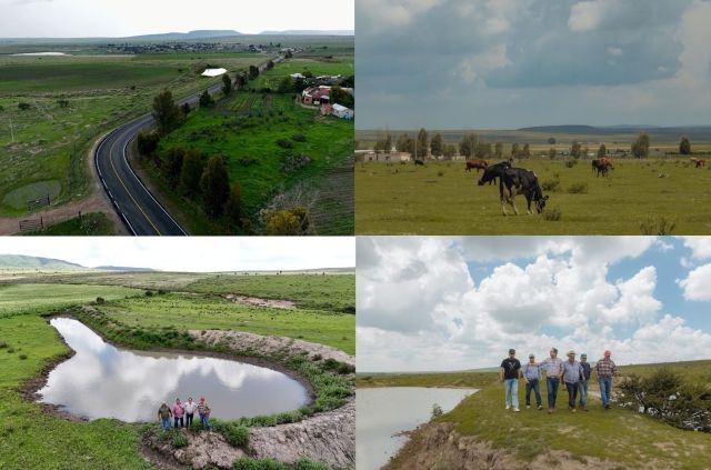 Tras larga sequía y escasez de agua en embalses, las lluvias proporcionan agua para ganado y cosechas guadalupe zacatecas 4 fotos copy