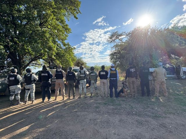 Brigada de búsqueda de personas desparecidas imagenes de cortesia