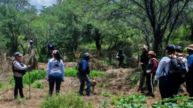 Buscadores en Encarnación de Díaz, Jalisco mas busqued